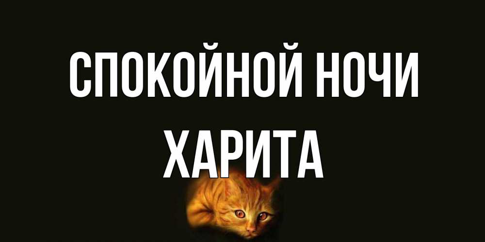 Открытка на каждый день с именем, Харита Спокойной ночи кот Прикольная открытка с пожеланием онлайн скачать бесплатно 