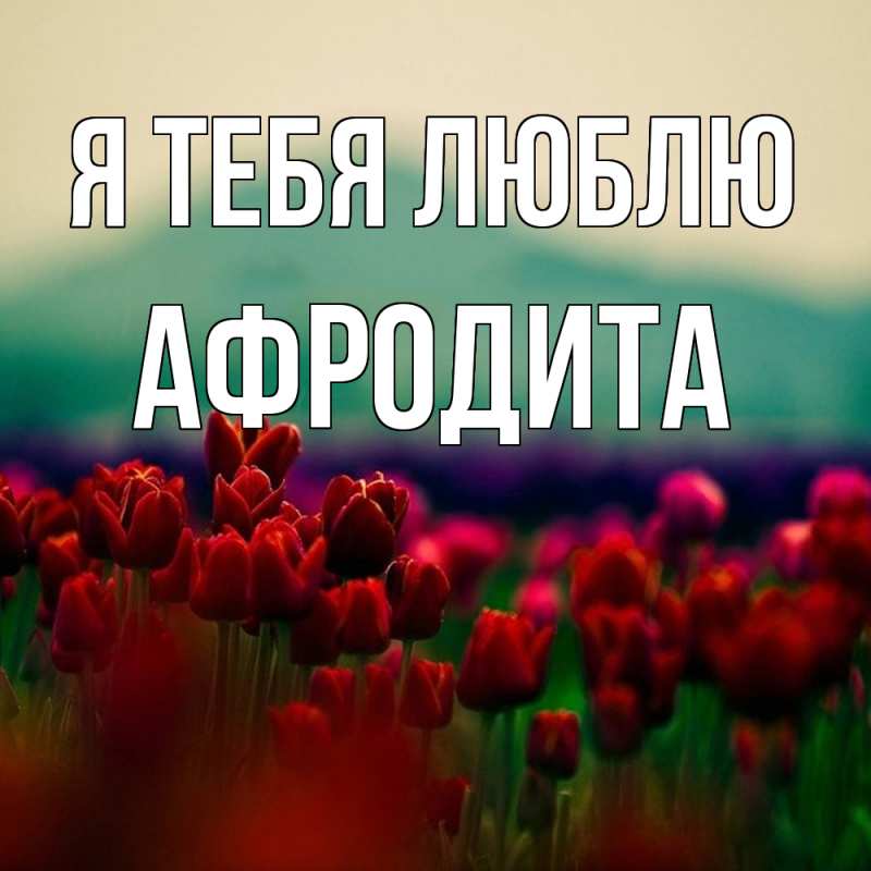 Картинка Я тебя люблю, Афродита