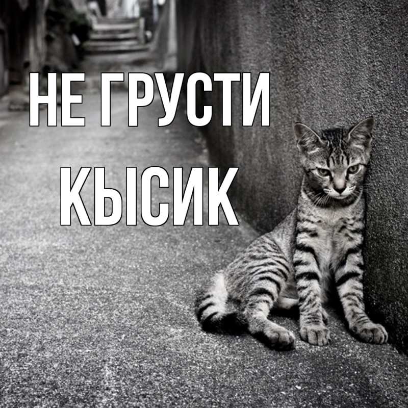 Открытка с именем, Кысик, Не грусти