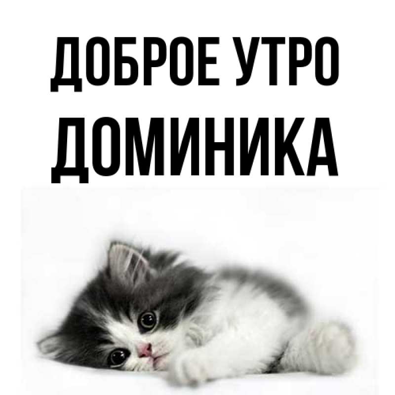 Картинка Доброе утро, Доминика