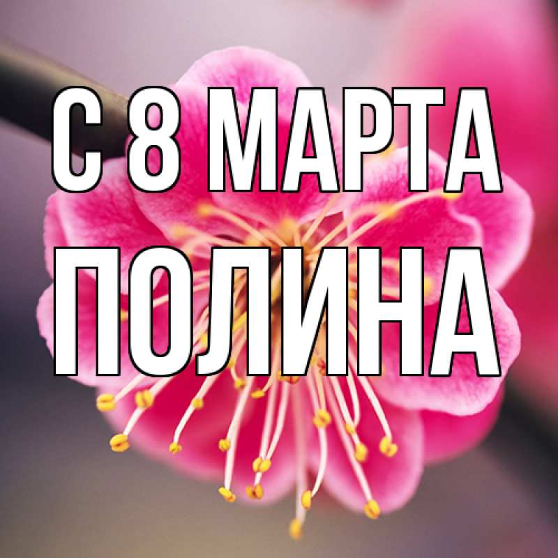 Картинка C 8 МАРТА, полина