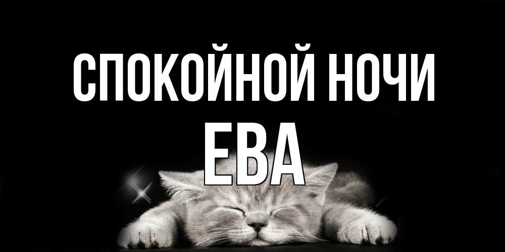 Открытка на каждый день с именем, Ева Спокойной ночи спящий котик Прикольная открытка с пожеланием онлайн скачать бесплатно 