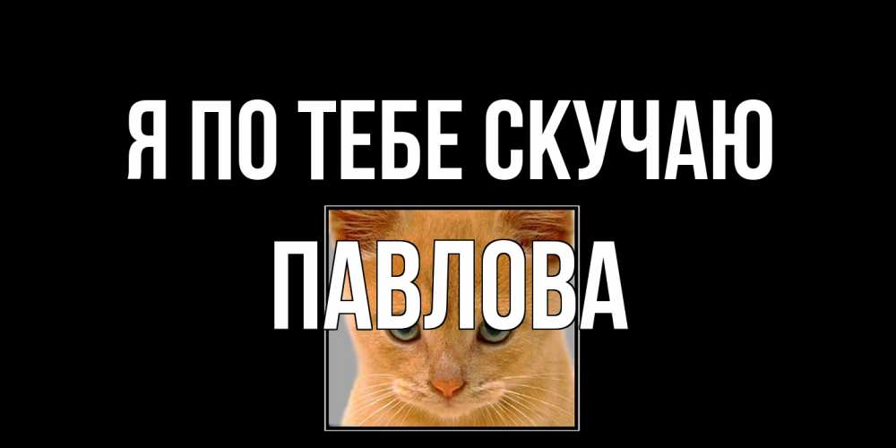 Открытка на каждый день с именем, Павлова Я по тебе скучаю открытки рыжий котенок скучает по тебе Прикольная открытка с пожеланием онлайн скачать бесплатно 