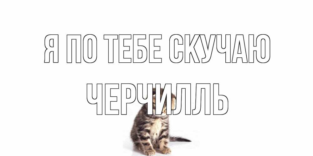 Открытка на каждый день с именем, Черчилль Я по тебе скучаю кот Прикольная открытка с пожеланием онлайн скачать бесплатно 
