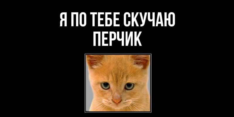 Картинка Я по тебе скучаю, перчик