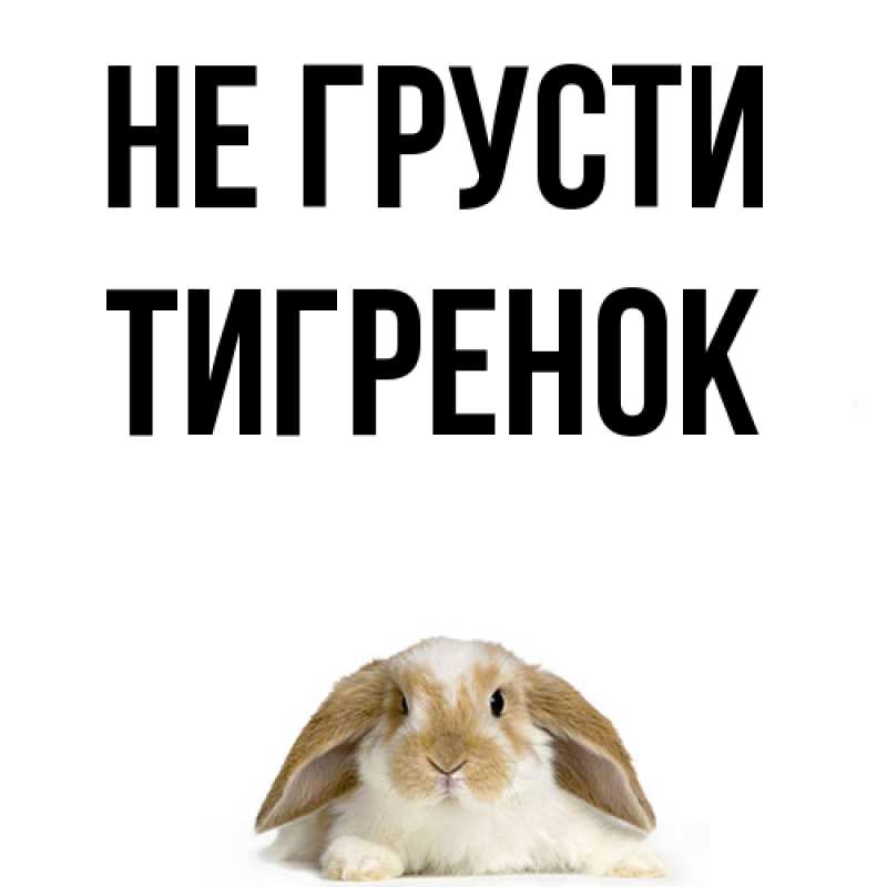 Картинка Не грусти, Тигpенок