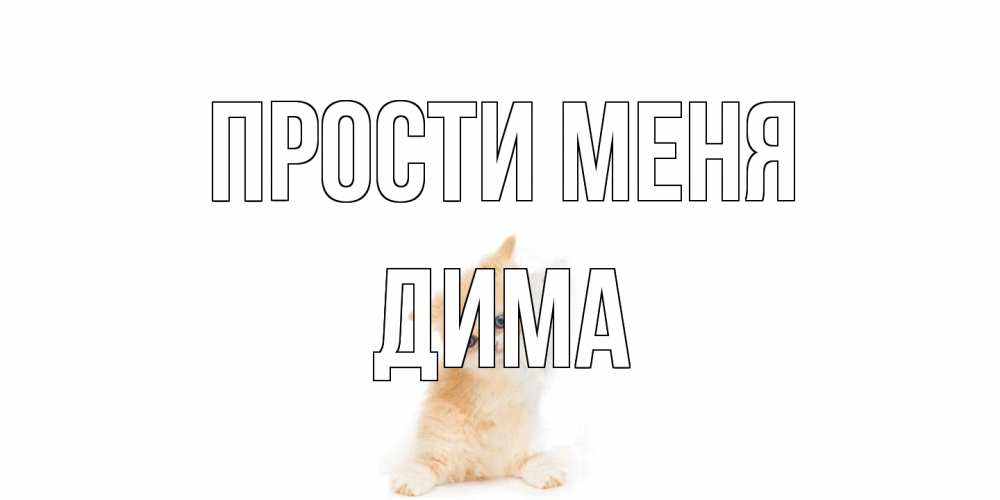 Открытка на каждый день с именем, Дима Прости меня кот Прикольная открытка с пожеланием онлайн скачать бесплатно 