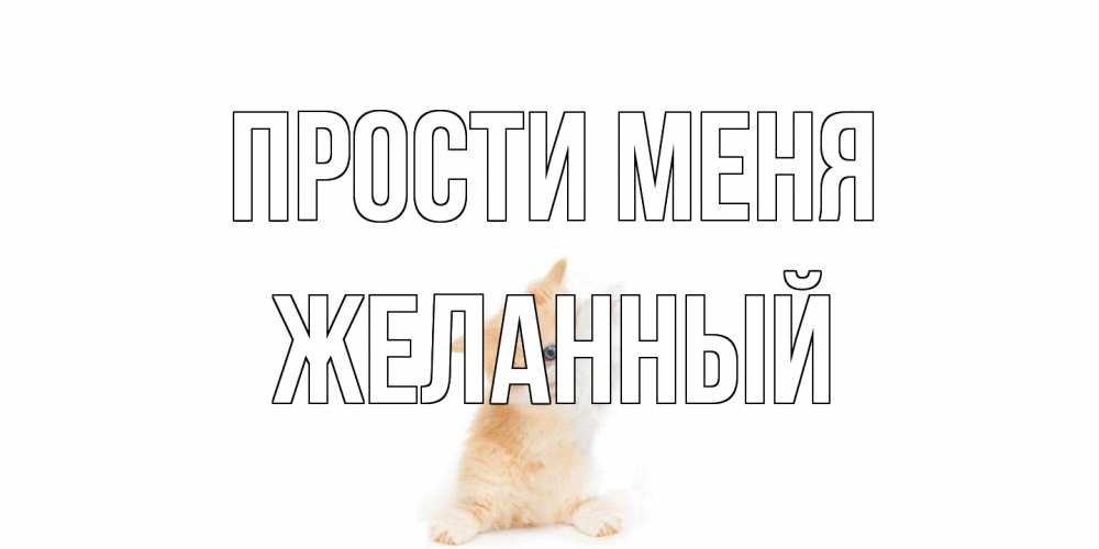 Открытка на каждый день с именем, Желанный Прости меня кот Прикольная открытка с пожеланием онлайн скачать бесплатно 