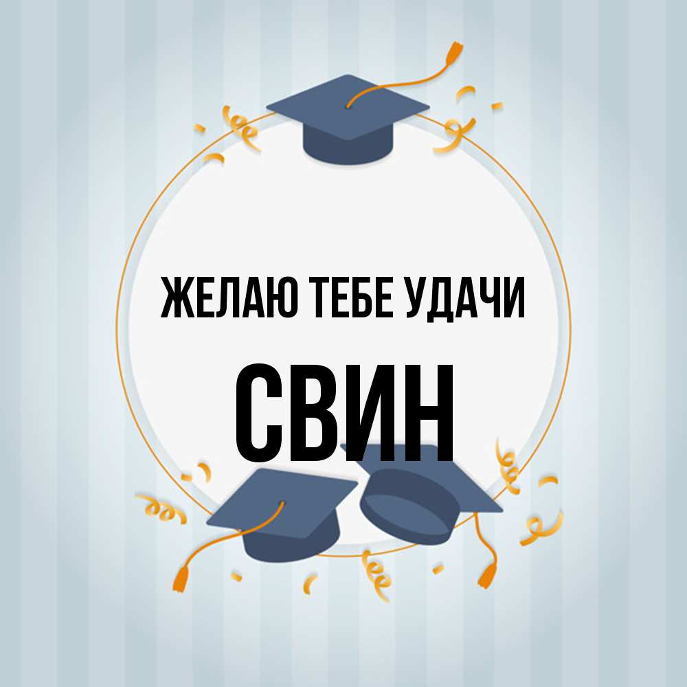Открытка на каждый день с именем, Свин Желаю тебе удачи для студентов Прикольная открытка с пожеланием онлайн скачать бесплатно 