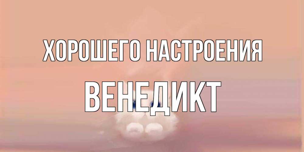 Открытка на каждый день с именем, Венедикт Хорошего настроения кошка Прикольная открытка с пожеланием онлайн скачать бесплатно 