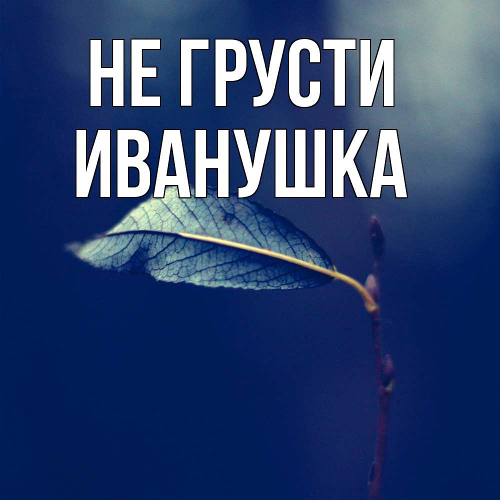 Открытка на каждый день с именем, Иванушка Не грусти растение Прикольная открытка с пожеланием онлайн скачать бесплатно 