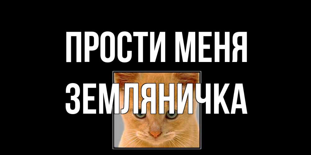 Открытка на каждый день с именем, Земляничка Прости меня рыжий грустный кот просит прощения Прикольная открытка с пожеланием онлайн скачать бесплатно 
