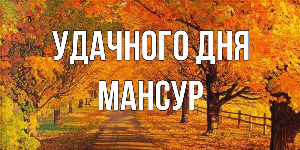 Открытка на каждый день с именем, Мансур Удачного дня деревья с осенними листьями Прикольная открытка с пожеланием онлайн скачать бесплатно 