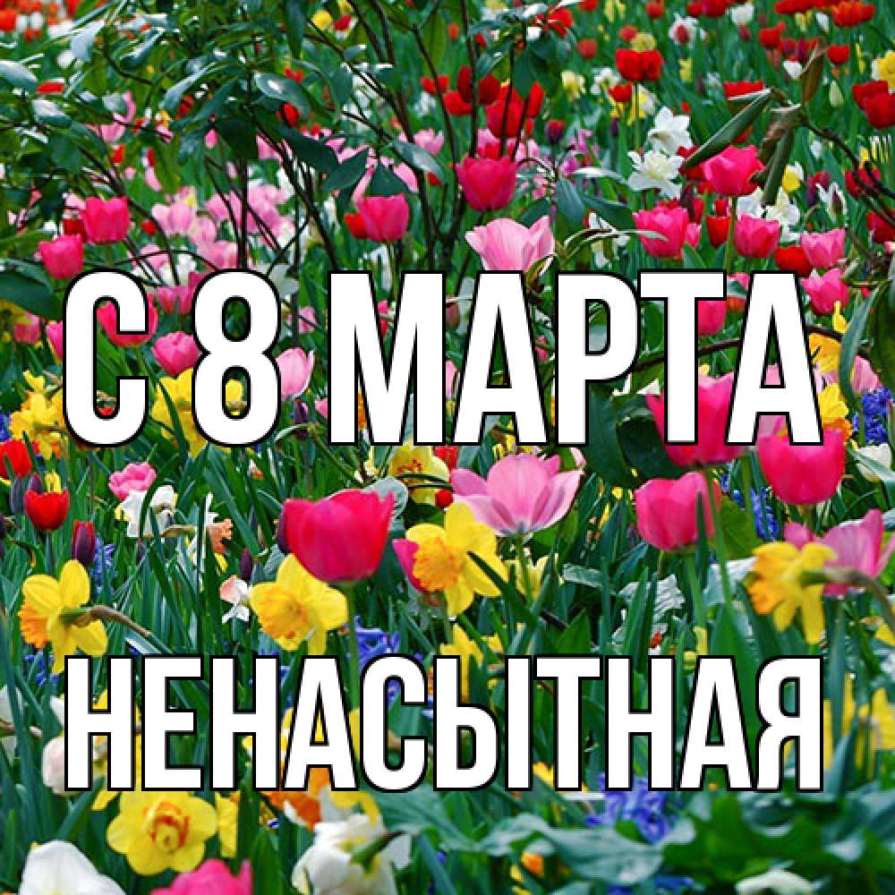 Открытка на каждый день с именем, Ненасытная C 8 МАРТА с международным женским днем поздравления для женщины Прикольная открытка с пожеланием онлайн скачать бесплатно 