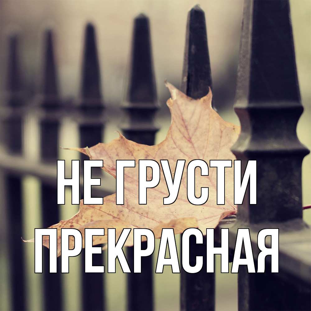 Открытка на каждый день с именем, Пpекpасная Не грусти лист клена Прикольная открытка с пожеланием онлайн скачать бесплатно 