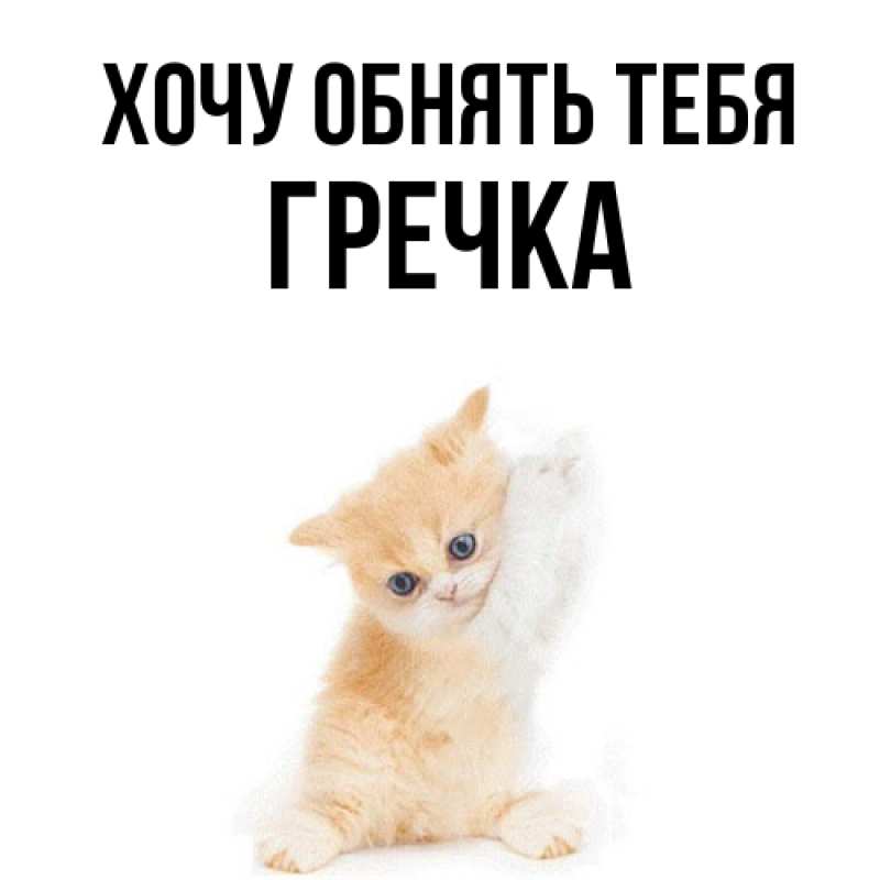 Картинка Хочу обнять тебя, Гречка