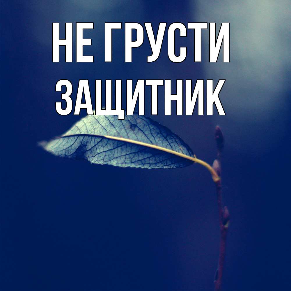 Открытка на каждый день с именем, Защитник Не грусти растение Прикольная открытка с пожеланием онлайн скачать бесплатно 