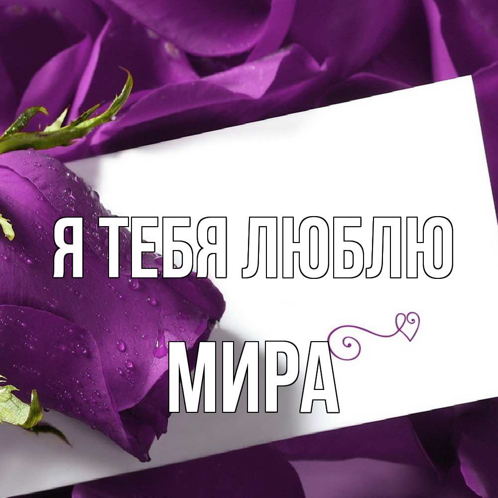 Открытка на каждый день с именем, Мира Я тебя люблю роза Прикольная открытка с пожеланием онлайн скачать бесплатно 