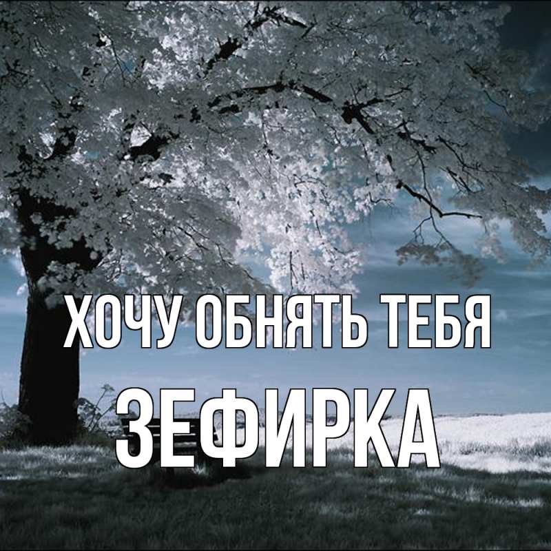 Картинка Хочу обнять тебя, зефирка