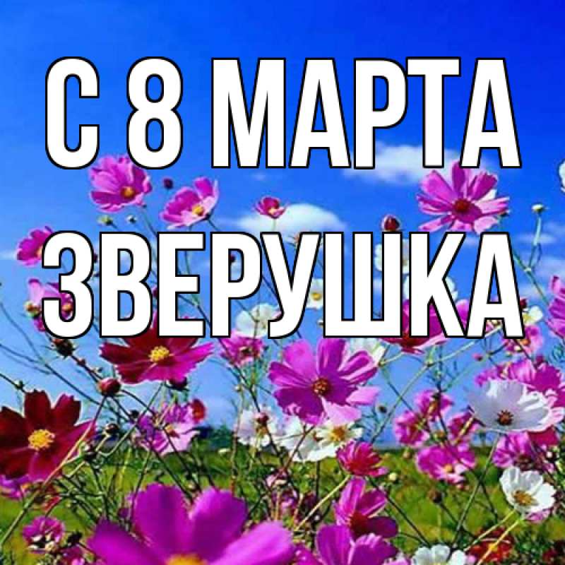 Картинка C 8 МАРТА, Зверушка