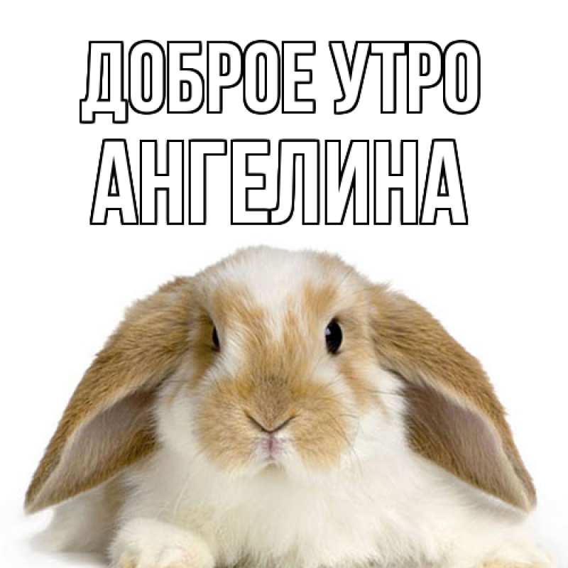 Картинка Доброе утро, ангелина