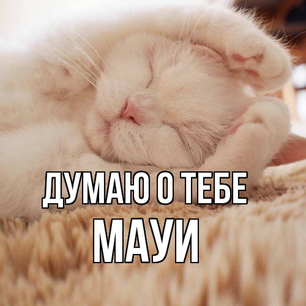 Открытка на каждый день с именем, Мауи Думаю о тебе для любимой девушки милота Прикольная открытка с пожеланием онлайн скачать бесплатно 