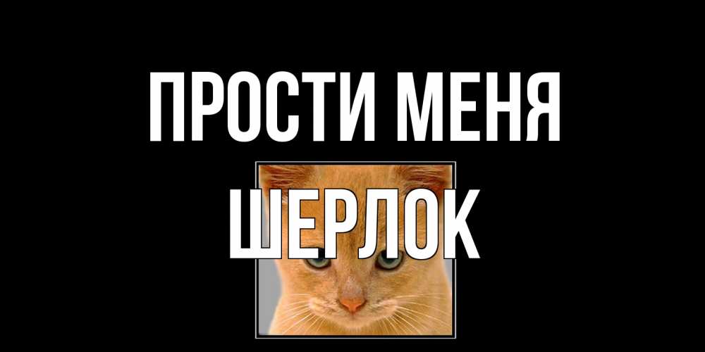 Открытка на каждый день с именем, Шерлок Прости меня рыжий грустный кот просит прощения Прикольная открытка с пожеланием онлайн скачать бесплатно 