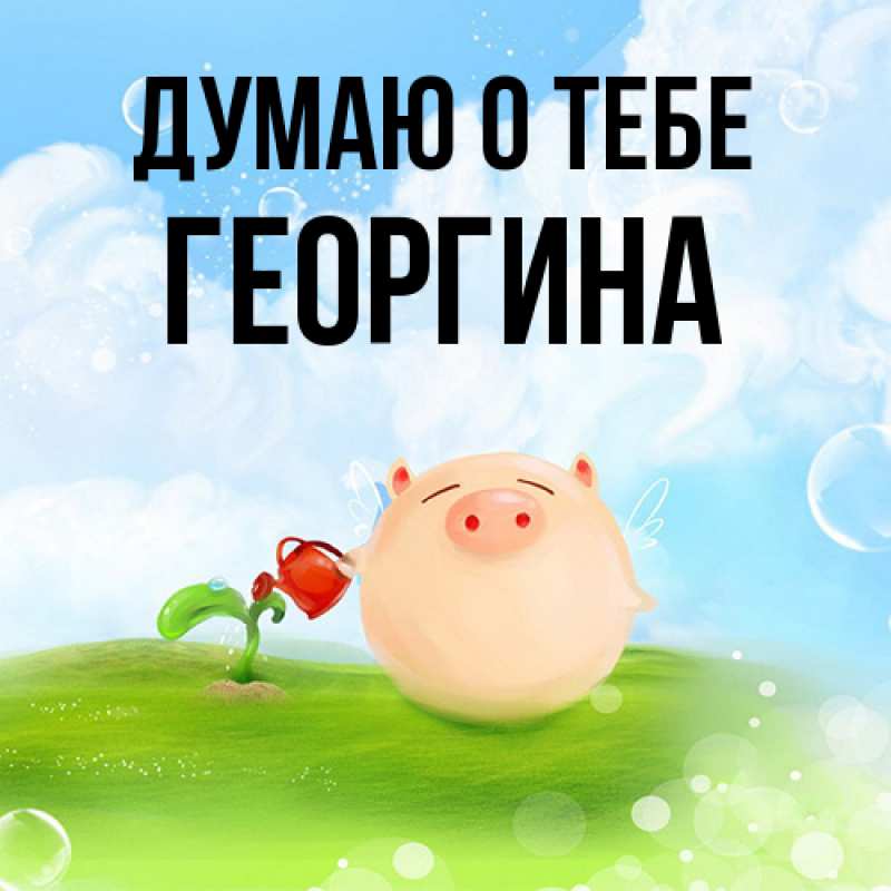 Картинка Думаю о тебе, Георгина