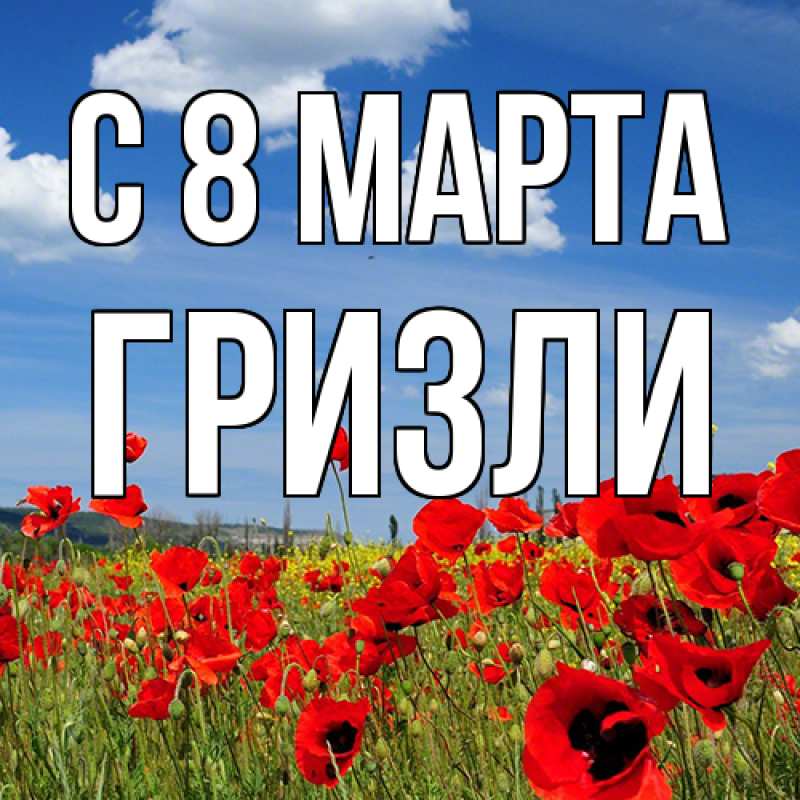 Картинка C 8 МАРТА, Гризли