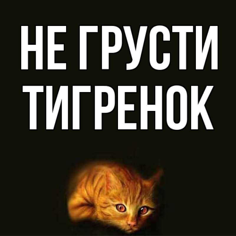 Картинка Не грусти, Тигpенок