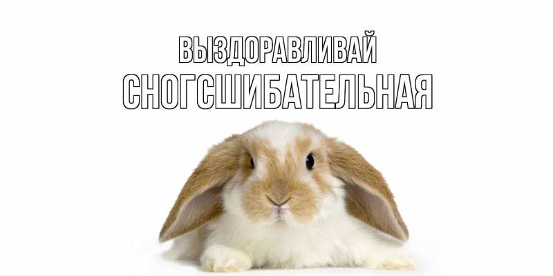 Картинка Выздоравливай, сногсшибательная