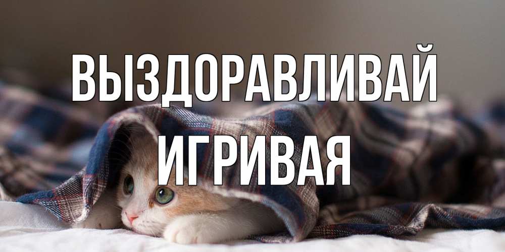 Открытка на каждый день с именем, игривая Выздоравливай не болейте с котиком Прикольная открытка с пожеланием онлайн скачать бесплатно 