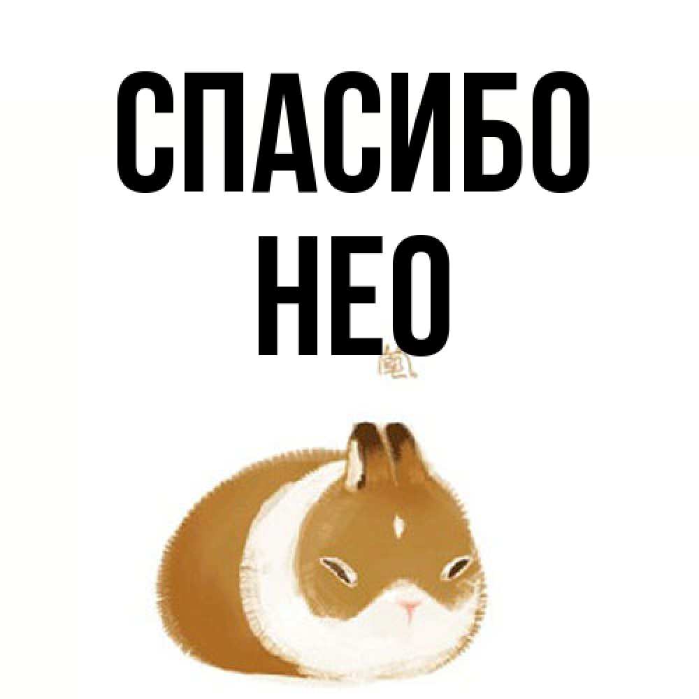 Открытка на каждый день с именем, Нео Спасибо коричнево белый домашний питомец Прикольная открытка с пожеланием онлайн скачать бесплатно 