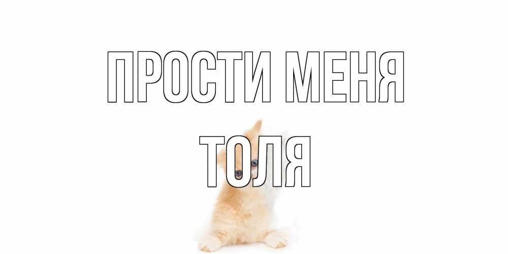 Открытка на каждый день с именем, Толя Прости меня кот Прикольная открытка с пожеланием онлайн скачать бесплатно 