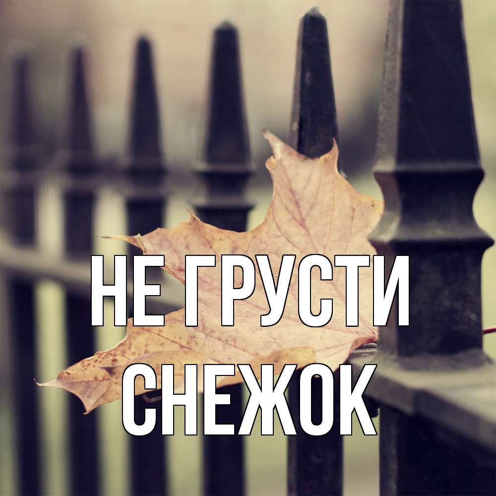 Открытка на каждый день с именем, снежок Не грусти лист клена Прикольная открытка с пожеланием онлайн скачать бесплатно 