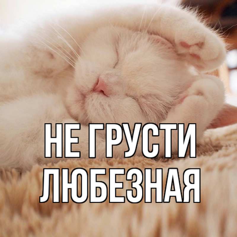 Картинка Не грусти, любезная