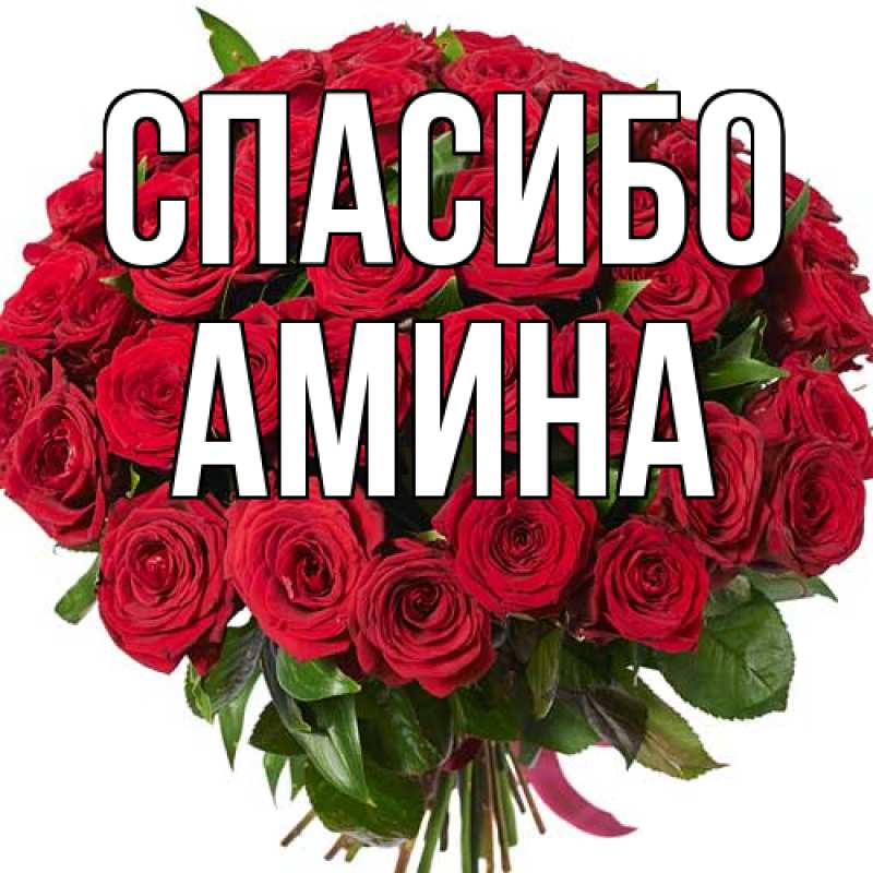 Картинка Спасибо, Амина