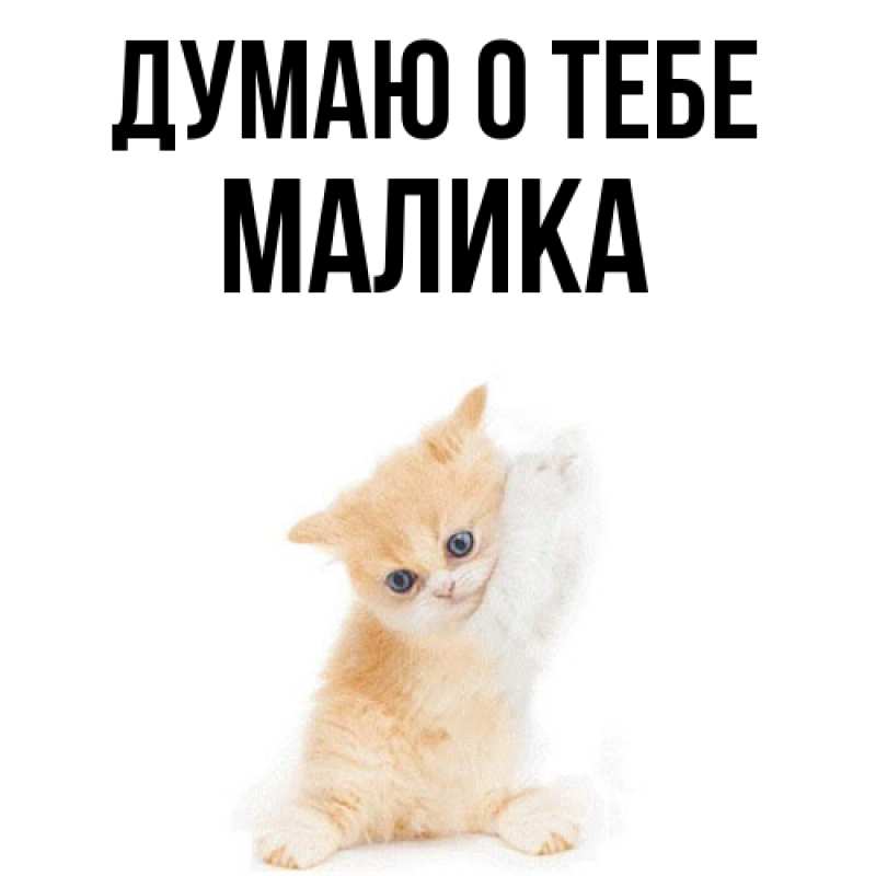 Картинка Думаю о тебе, Малика