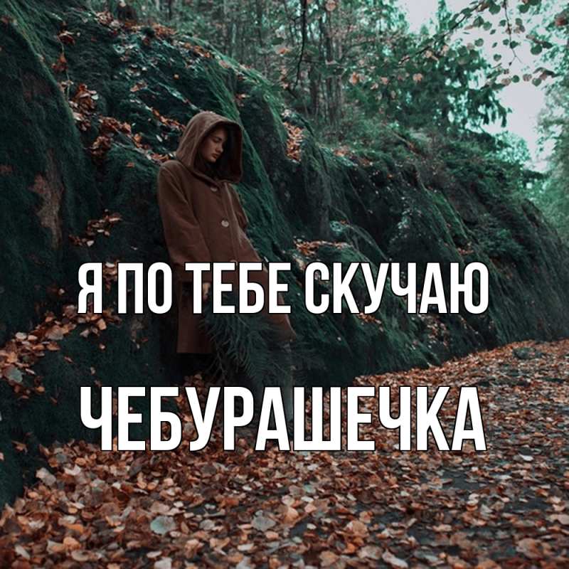 Картинка Я по тебе скучаю, Чебурашечка