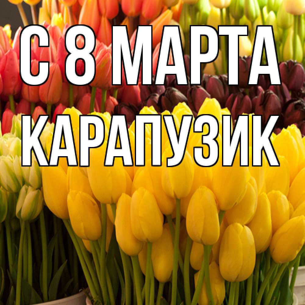 Открытка на каждый день с именем, карапузик C 8 МАРТА цветы Прикольная открытка с пожеланием онлайн скачать бесплатно 