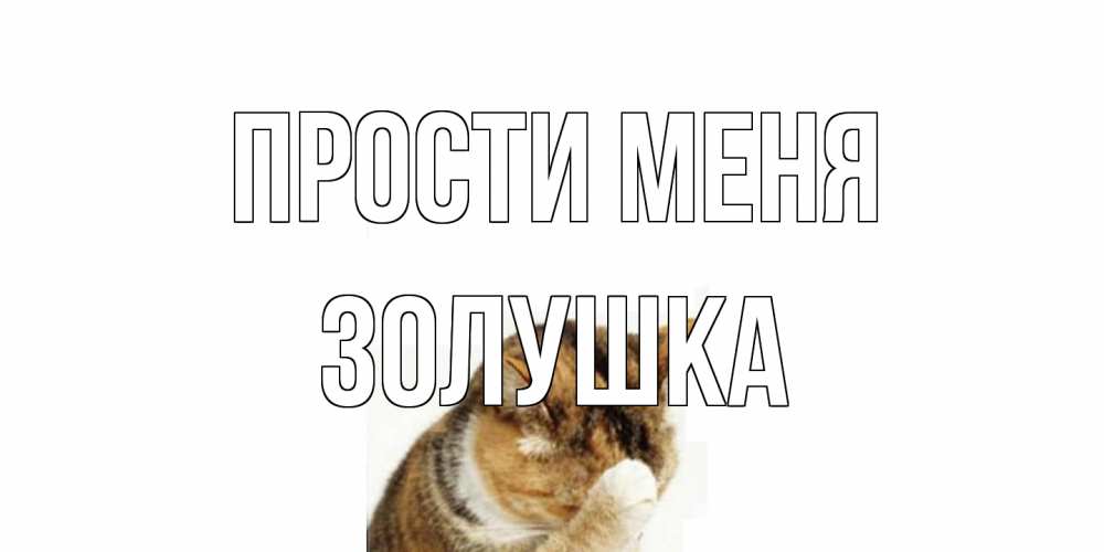 Открытка на каждый день с именем, Золушка Прости меня кот Прикольная открытка с пожеланием онлайн скачать бесплатно 