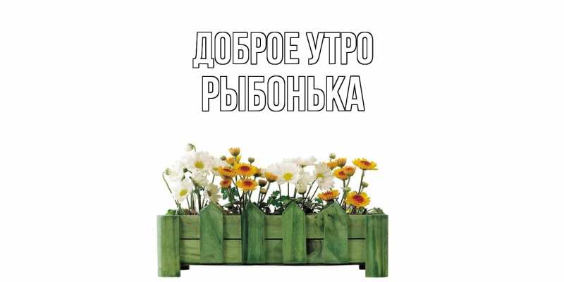 Картинка Доброе утро, Рыбонька