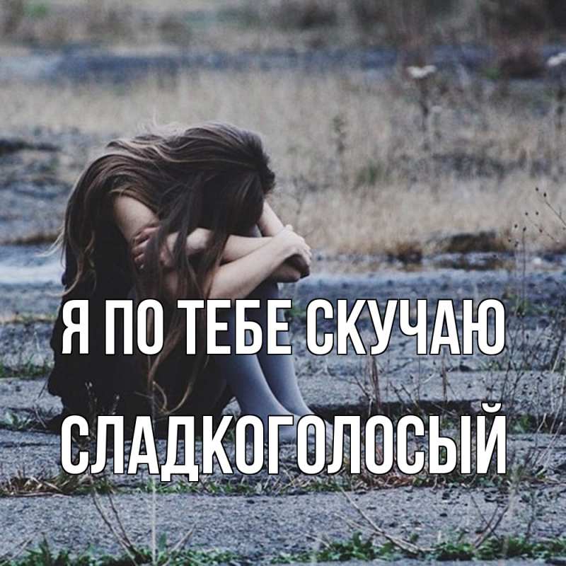 Картинка Я по тебе скучаю, Сладкоголосый