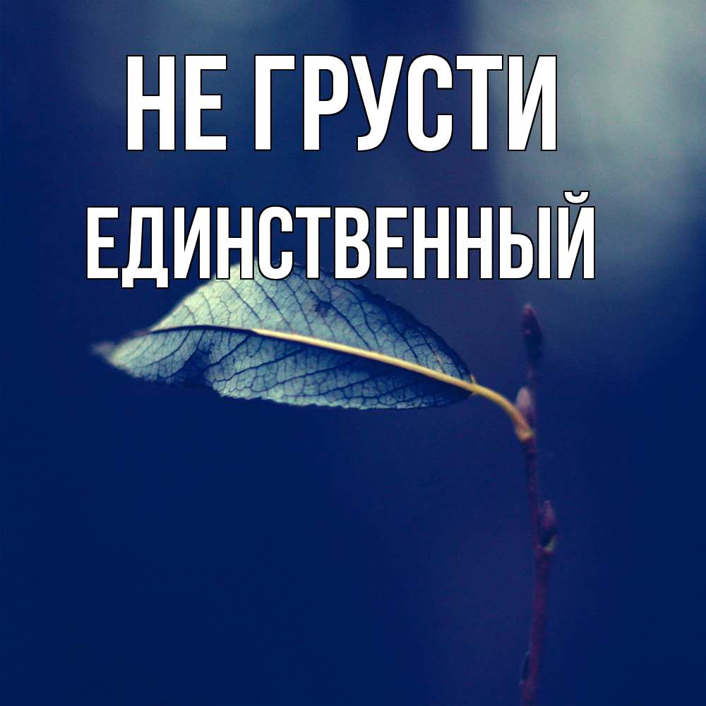 Открытка на каждый день с именем, Единственный Не грусти растение Прикольная открытка с пожеланием онлайн скачать бесплатно 