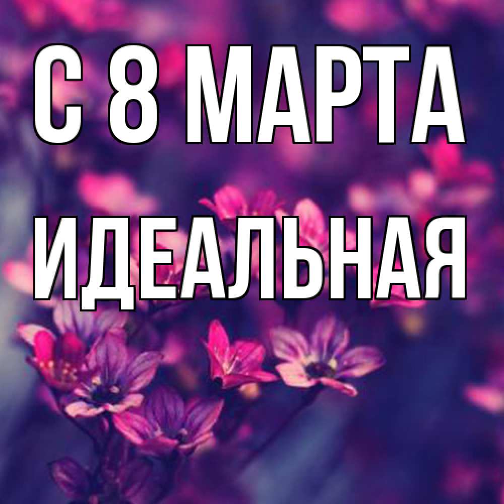 Открытка на каждый день с именем, идеальная C 8 МАРТА небольшие цветы 1 Прикольная открытка с пожеланием онлайн скачать бесплатно 