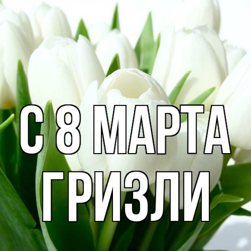 Картинка C 8 МАРТА, Гризли