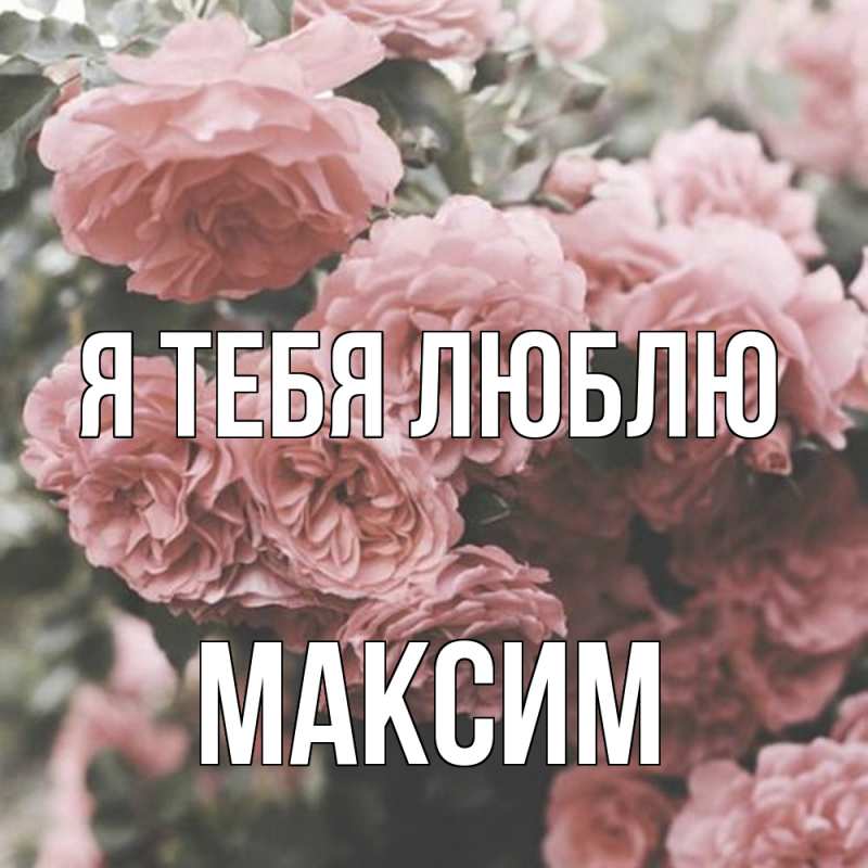 Картинка Я тебя люблю, Максим