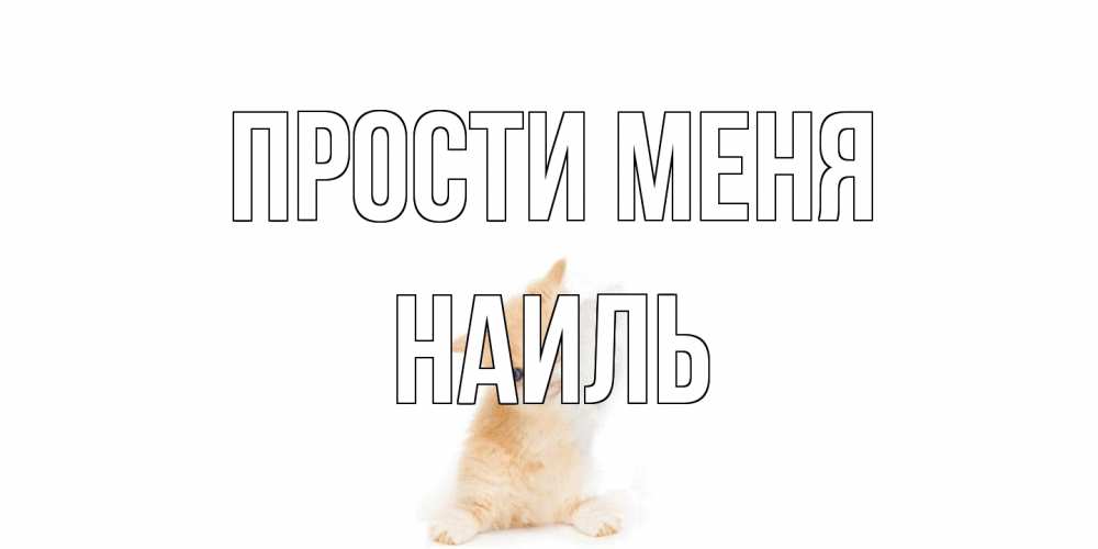Открытка на каждый день с именем, Наиль Прости меня кот Прикольная открытка с пожеланием онлайн скачать бесплатно 