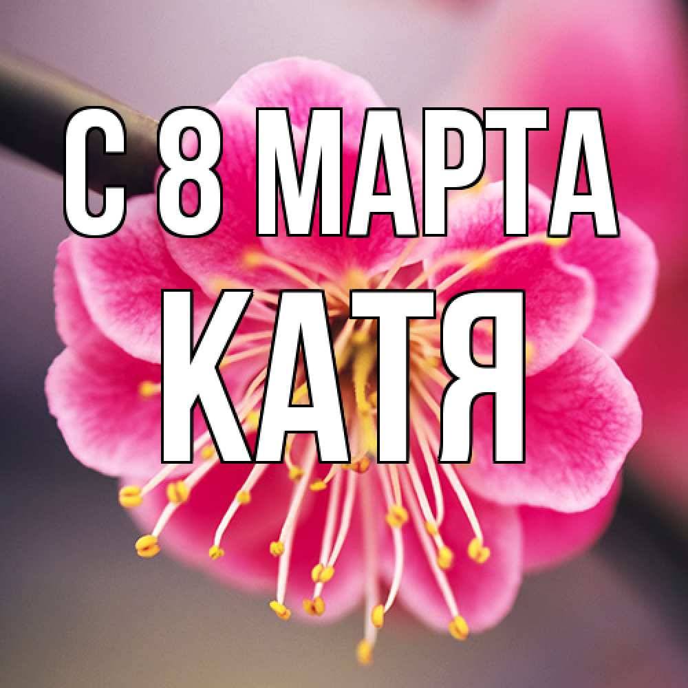Открытка на каждый день с именем, Катя C 8 МАРТА цветы Прикольная открытка с пожеланием онлайн скачать бесплатно 