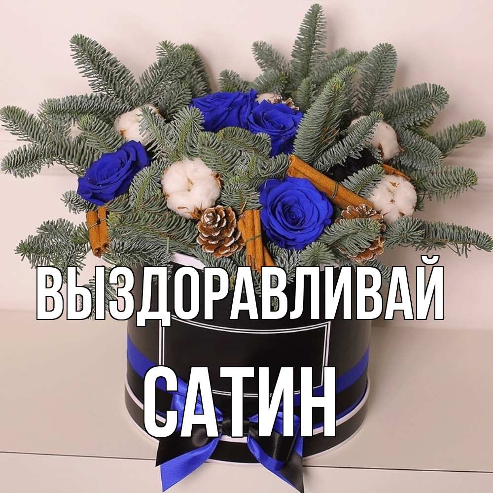 Открытка на каждый день с именем, Сатин Выздоравливай короче кто то загрузил эти шишки Прикольная открытка с пожеланием онлайн скачать бесплатно 